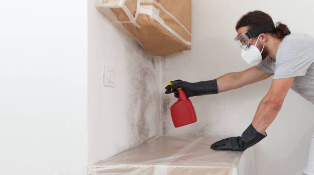 Professional Mold Testing technician working in Tall Timbers, MD