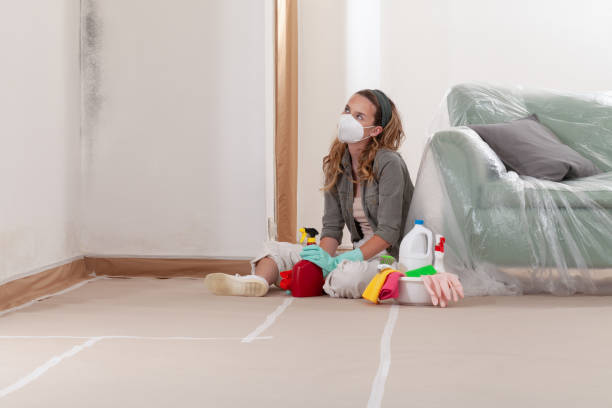 Reliable Mold Testing contractor in Tall Timbers, MD by WQB Mold Removal